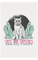 Cats and Crystals Are All I Want