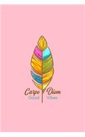 Carpe Diem Good Vibes: Lined Journal - Carpe Diem Good Vibes Cute Positivity Saying Girls Gift - Pink Ruled Diary, Prayer, Gratitude, Writing, Travel, Notebook For Men Wom