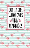 Just A Girl Who Loves Pink Flamingos