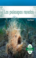 Los Pejesapos Rayados (Hairy Frogfish): (Animales Espeluznantes (Spooky Animals))