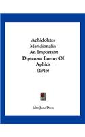 Aphidoletes Meridionalis