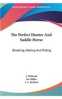 The Perfect Hunter and Saddle Horse