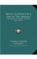 White Sulphur Or A Day At The Springs