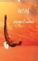 Nature Sauvage Et Animale 2018