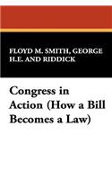 Congress in Action (How a Bill Becomes a Law)