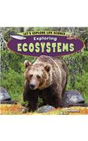 Exploring Ecosystems