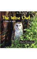 Wise Owl: A Story of Jesus