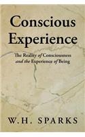 Conscious Experience
