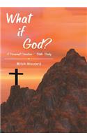 What if God?: A Personal Devotion / Bible Study