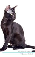 Oriental Shorthair Affirmations Workbook Oriental Shorthair Presents: Positive and Loving Affirmations Workbook. Includes: Mentoring Questions, Guidance, Supporting You.