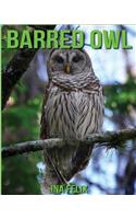 Barred Owl