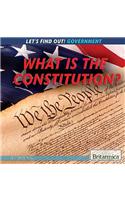 What Is the Constitution?