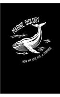 Marine Biology now my life has a porpoise