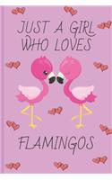 Just A Girl Who Loves Flamingos