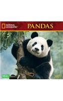 Cal 2019 National Geographic Pandas