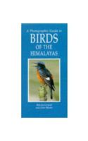 A Photographic Guide to Birds of the Himalayas