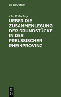 Ueber Die Zusammenlegung Der Grundstücke in Der Preußischen Rheinprovinz: Verbunden Mit Einer Darstellung Der Nassauischen Consolidationen Und Der Preußischen Special-Separationen