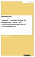 Agilstabile Organisation. Einfluss der Organisations-, Führungs- und Entscheidungsmechanismen auf die Wettbewerbsfähigkeit