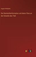 Die Steinkohlenformation und deren Flora an der Ostseite des Tödi