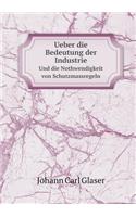 Ueber die Bedeutung der Industrie Und die Nothwendigkeit von Schutzmassregeln