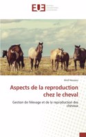Aspects de la reproduction chez le cheval