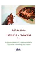 Creación y evolución