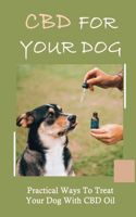 CBD For Your Dog