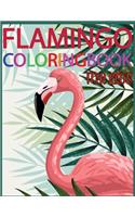 Flamingo Coloring Book For Kids