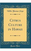Citrus Culture in Hawaii (Classic Reprint)