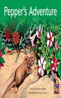 Pepper's Adventure: Bookroom Package Green Fiction Level 14 Grades 1-2(Rigby PM Collection)