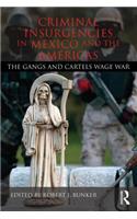 Criminal Insurgencies in Mexico and the Americas