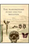 The Nariokotome Homo erectus Skeleton