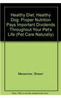 Healthy Diet, Healthy Dog