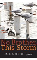 No Brother, This Storm