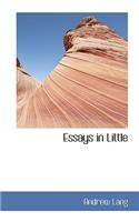 Essays in Little