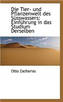 Die Tier- Und Pflanzenwelt Des Susswassers
