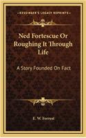 Ned Fortescue Or Roughing It Through Life