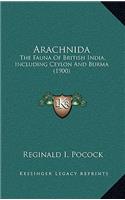 Arachnida