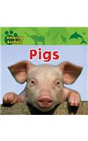 Pigs