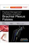 Practical Management of Pediatric and Adult Brachial Plexus Palsies