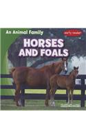 Horses and Foals