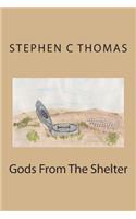 Gods From The Shelter