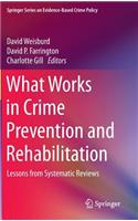 What Works in Crime Prevention and Rehabilitation