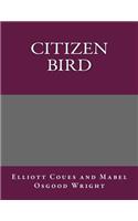 Citizen Bird