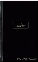 John -- Journible The 17:18 Series