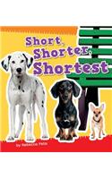 Short, Shorter, Shortest: (Size It Up)