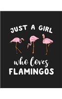 Just A Girl Who Loves Flamingos