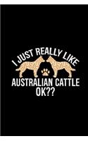 I Just Really Like Australian Cattle Ok?