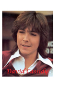 David Cassidy: The Last Kiss