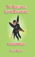 Christmas Spryte Encounter